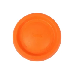 Flytande frisbee