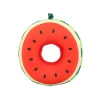 Flytande Vattenmelon