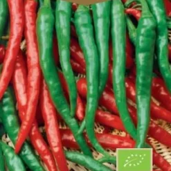 Frö Chilipaprika Cayenne