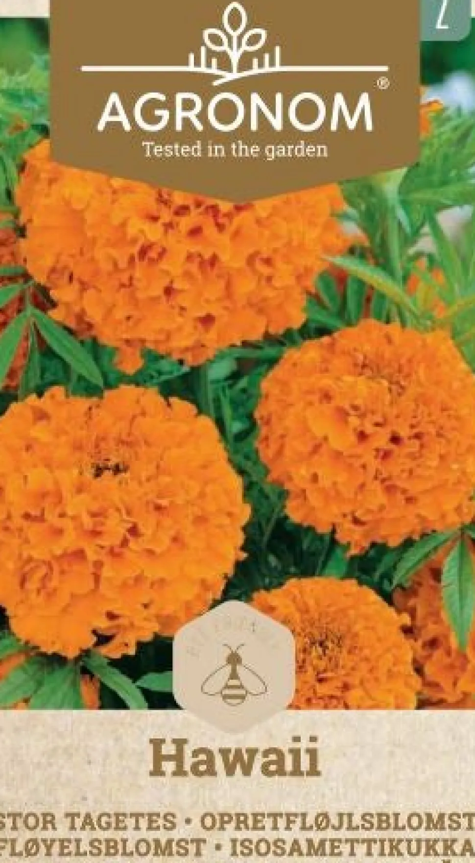 Frö Marigold Hawaii