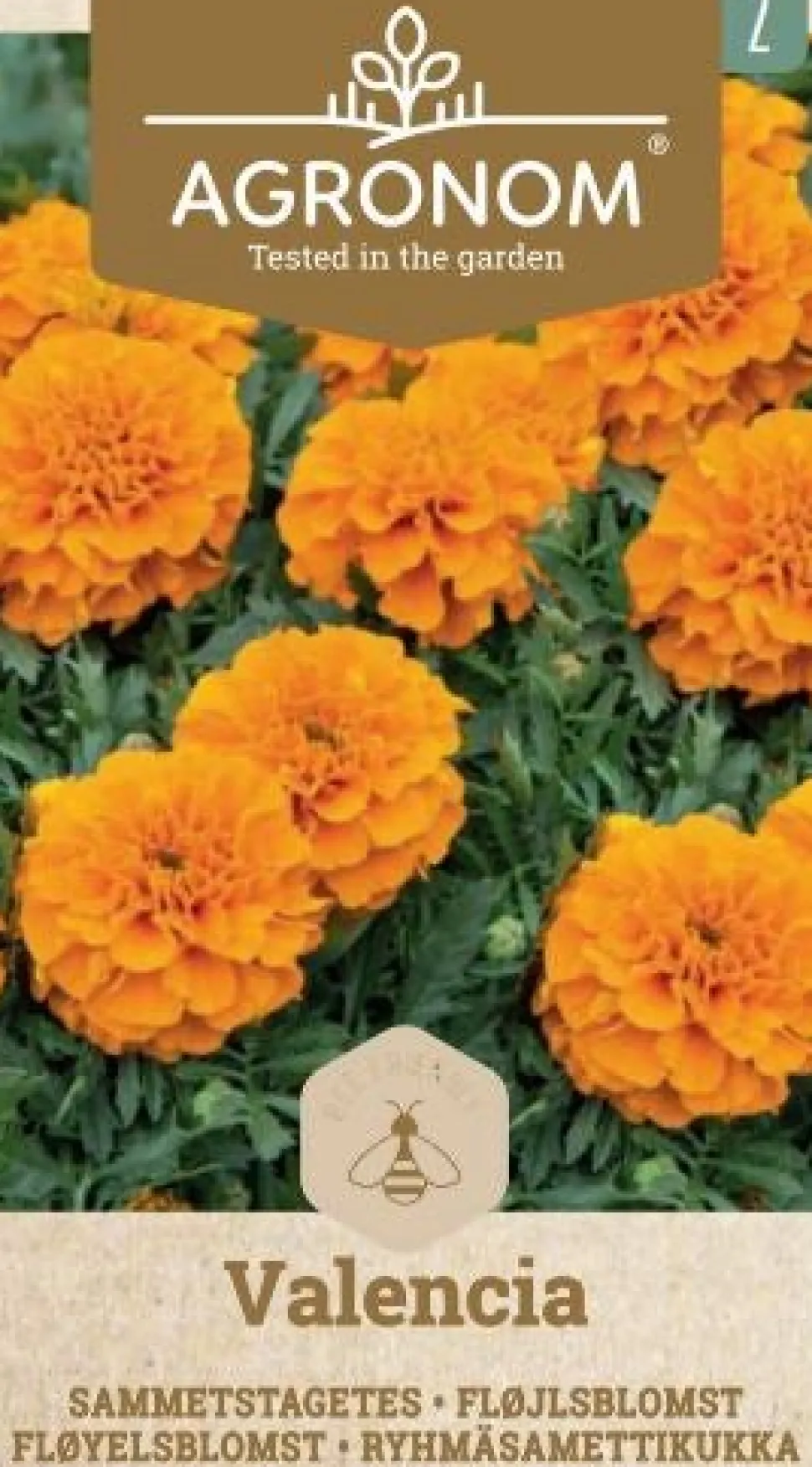 Frö Marigold Valencia