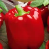 Frö Paprika California