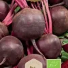 Frö Rödbeta Detroit
