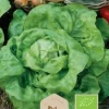 Frö Sallad Regina