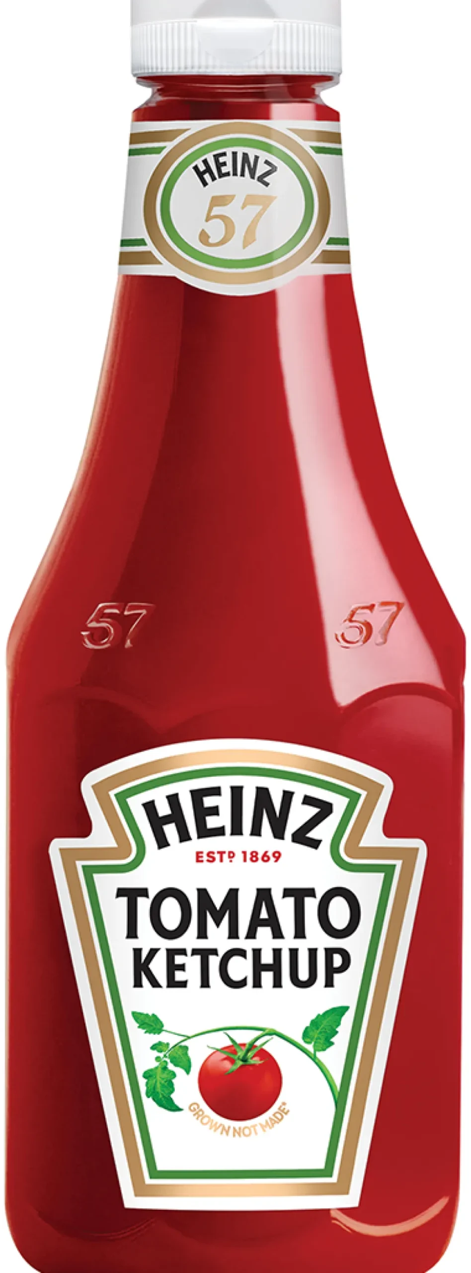 Heinz Ketchup