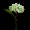 Hortensia