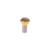 Kabuki Brush