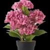Konstväxt Hortensia