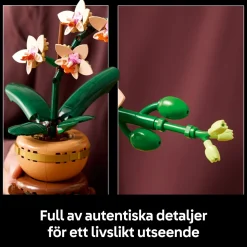 LEGO® Botanicals - Miniorkidé