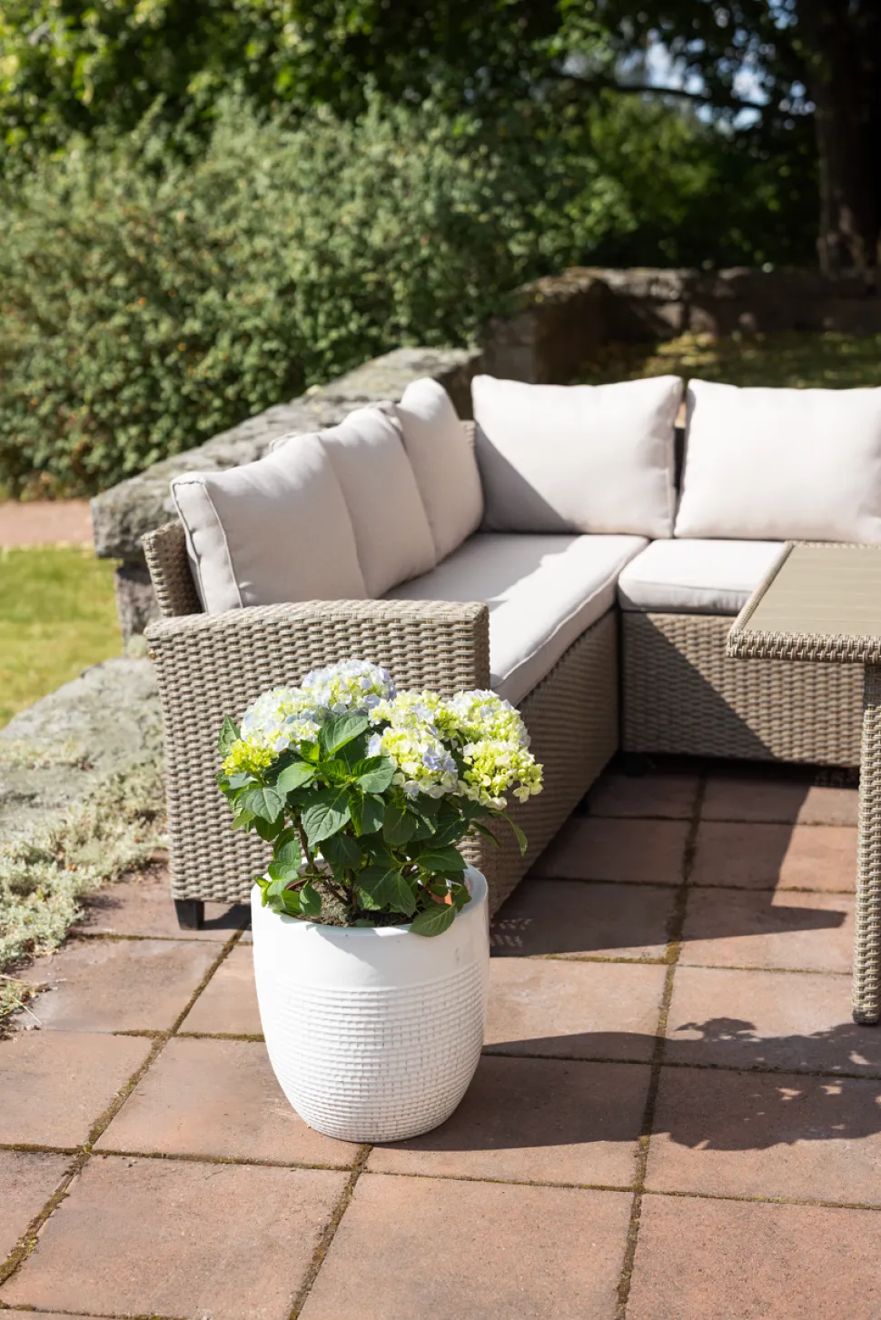 Loungeset